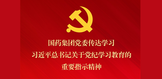 黄金城集团集团党委传达学习习近平总书记关于党纪学习教育的重要指示精神 部署抓好党纪学习教育常态化长效化建设